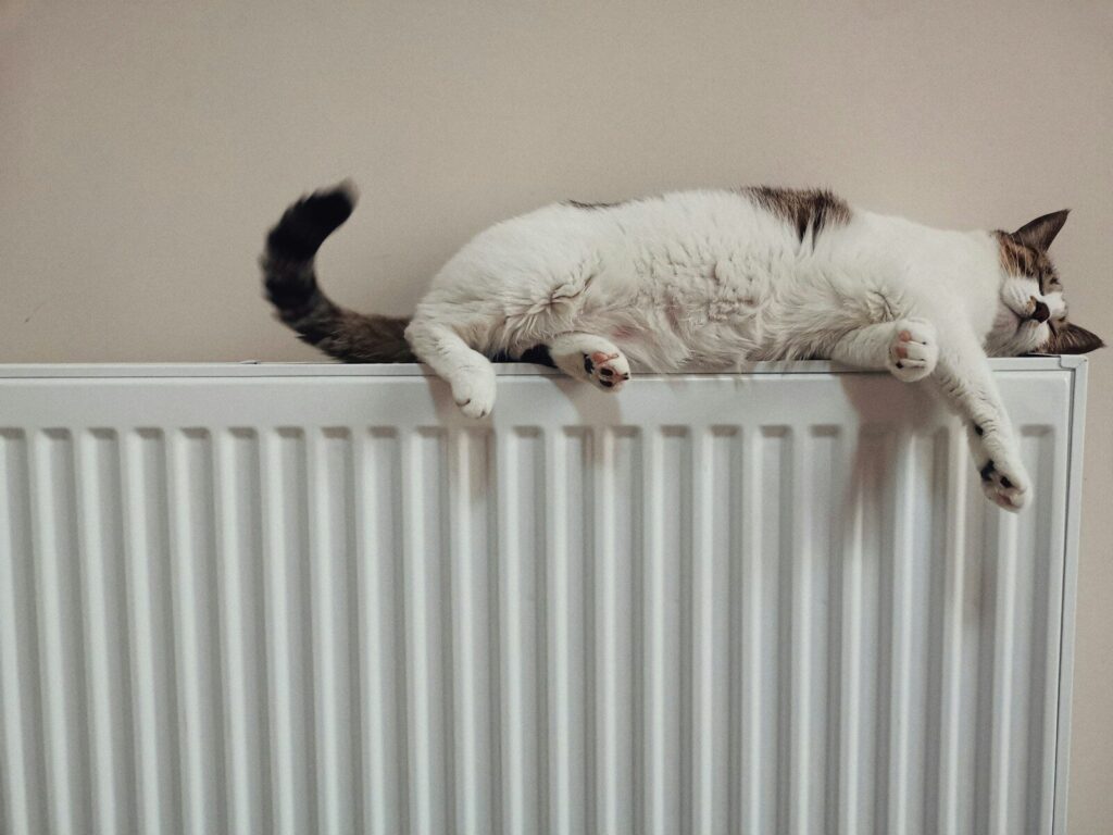 Chat allongé sur un radiateur