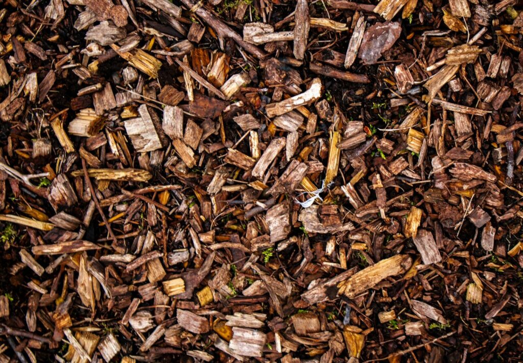 Wood chips cover the ground with rich texture.