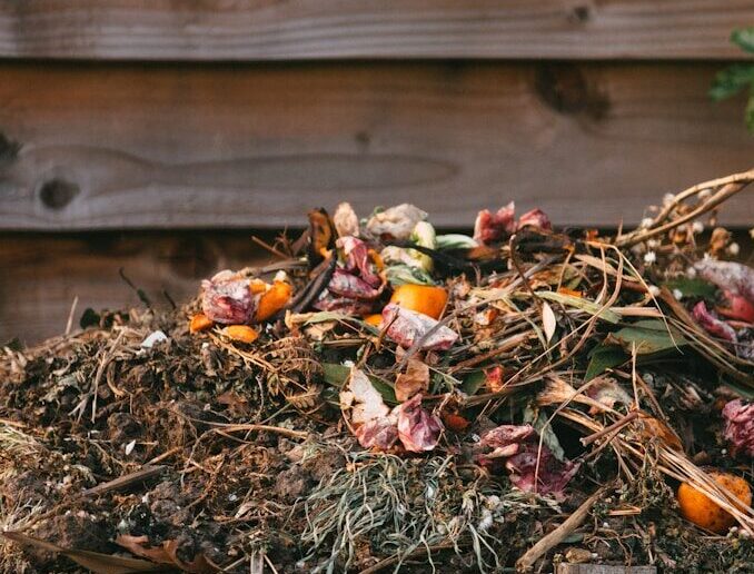 Tas de compost avec déchets organiques illustrant les meilleurs composteurs de balcon