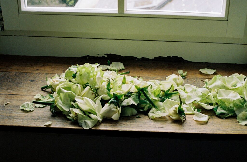 Épluchures de légumes prêtes pour le compostage