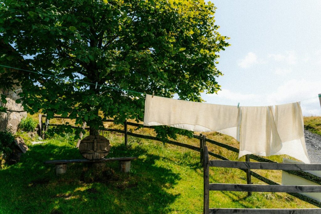 Linge blanc séchant dehors, devant un arbre