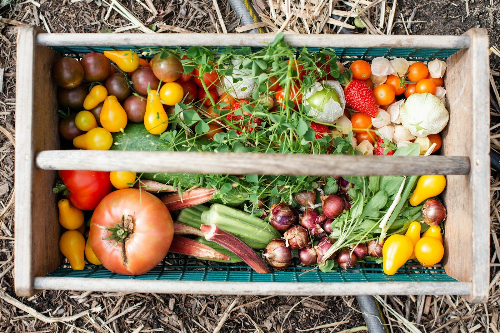 Panier en bois contenant des légumes