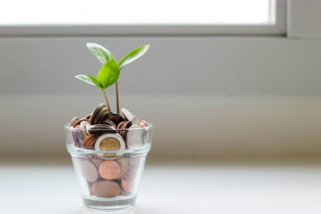 Plante verte dans un verre plein de pièces de monnaie